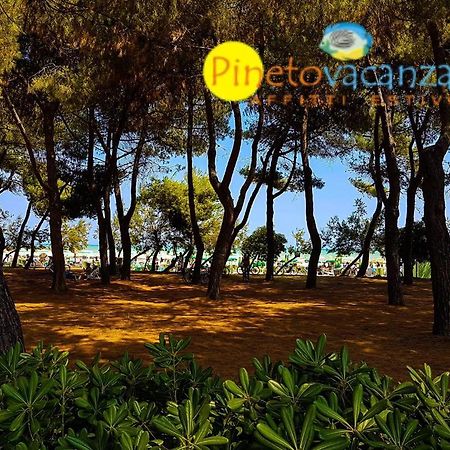 Myconos C2 - Pineto Vacanza Extérieur photo