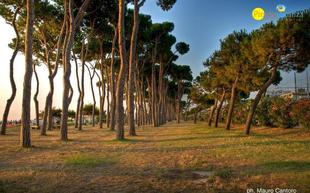 Myconos C2 - Pineto Vacanza Extérieur photo