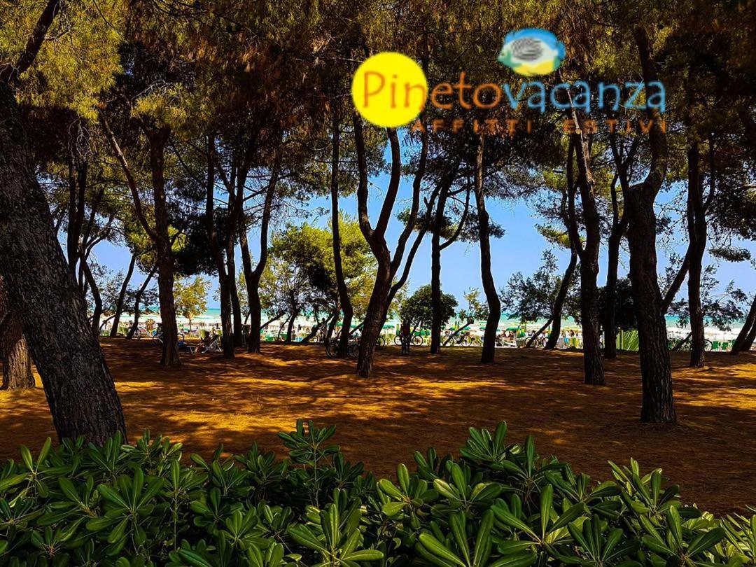 Myconos C2 - Pineto Vacanza Extérieur photo